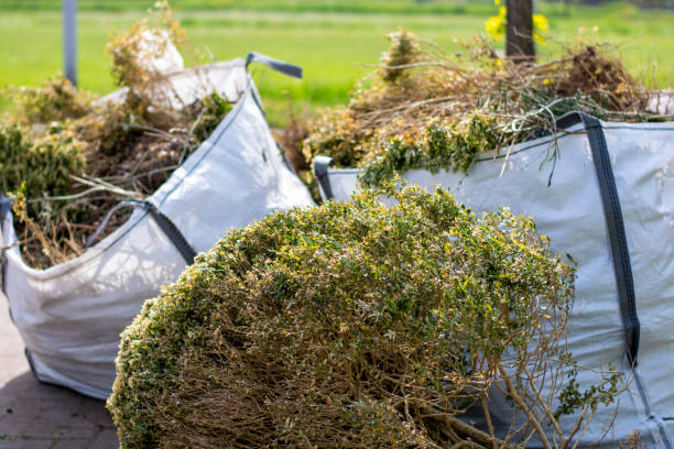 Best Construction Debris Removal  in Ferrysburg, MI